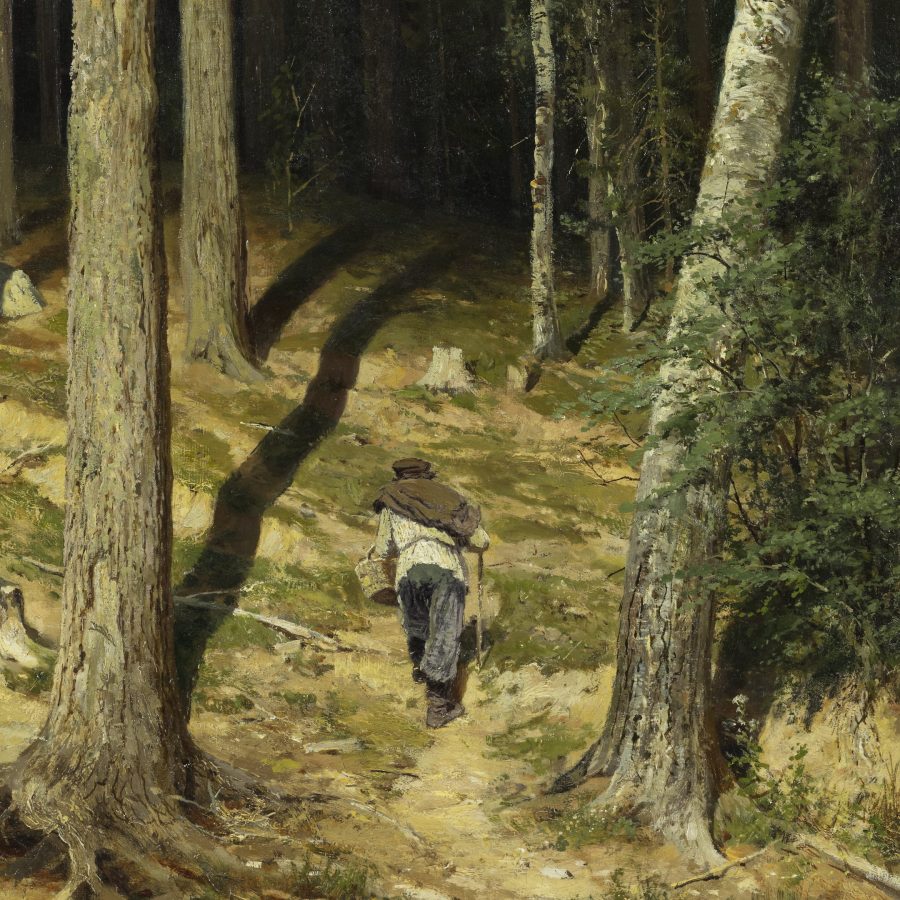 Истории картин шишкина. Шишкин прогулка в лесу 1869. Шишкин Васнецов кипреескац.